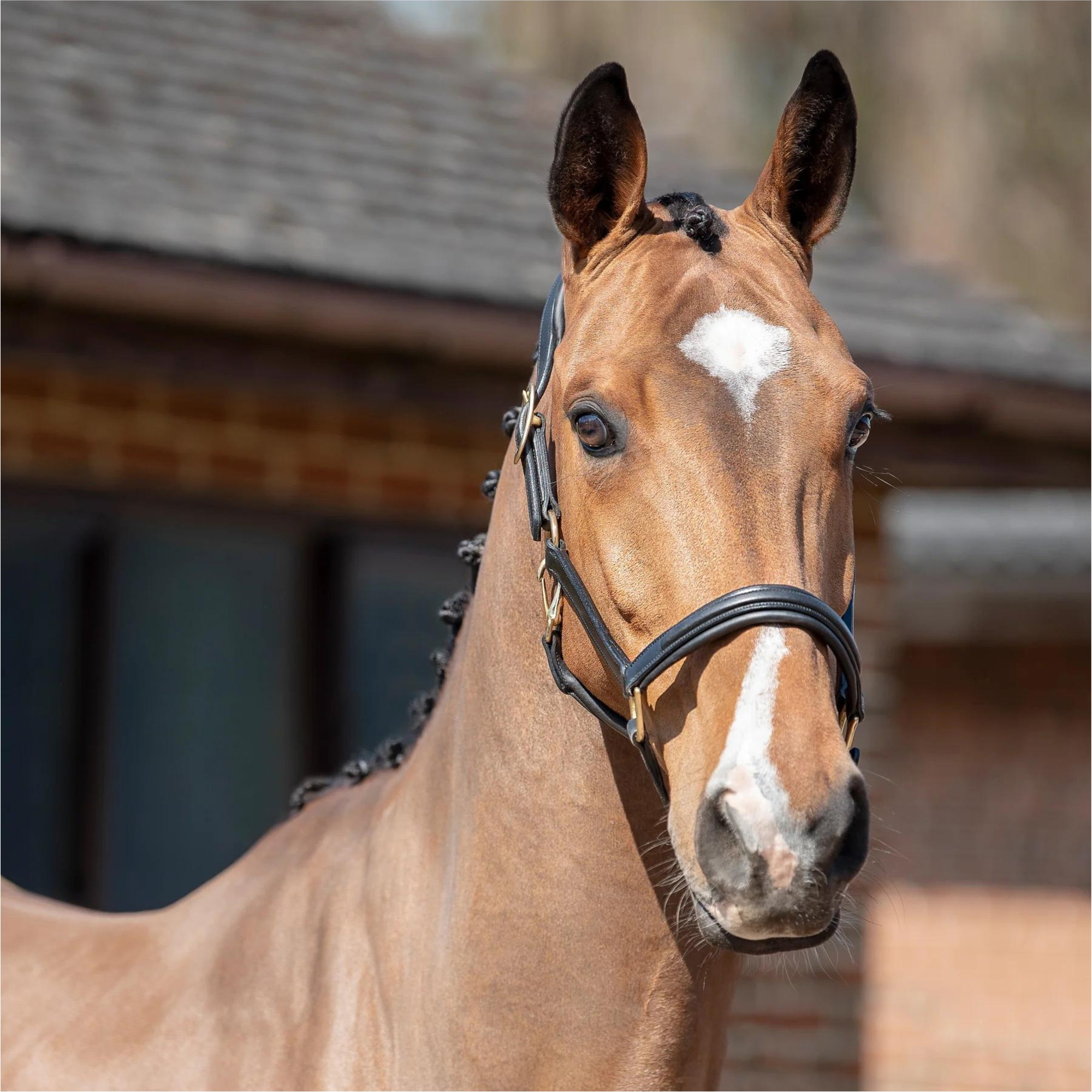 Henry James Comfort 3D Air Headcollar HC-1HJ - BLACK